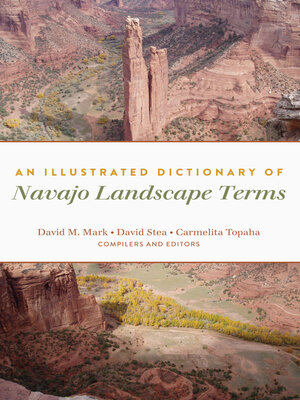 cover image of An Illustrated Dictionary of Navajo Landscape Terms